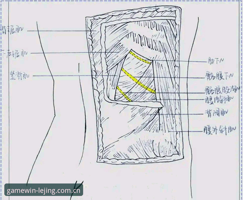 深度解剖：当生命警报在绿茵场响起——用乐竞体育官方中文版CN下载手机版回看埃里克森事件的三个决策点