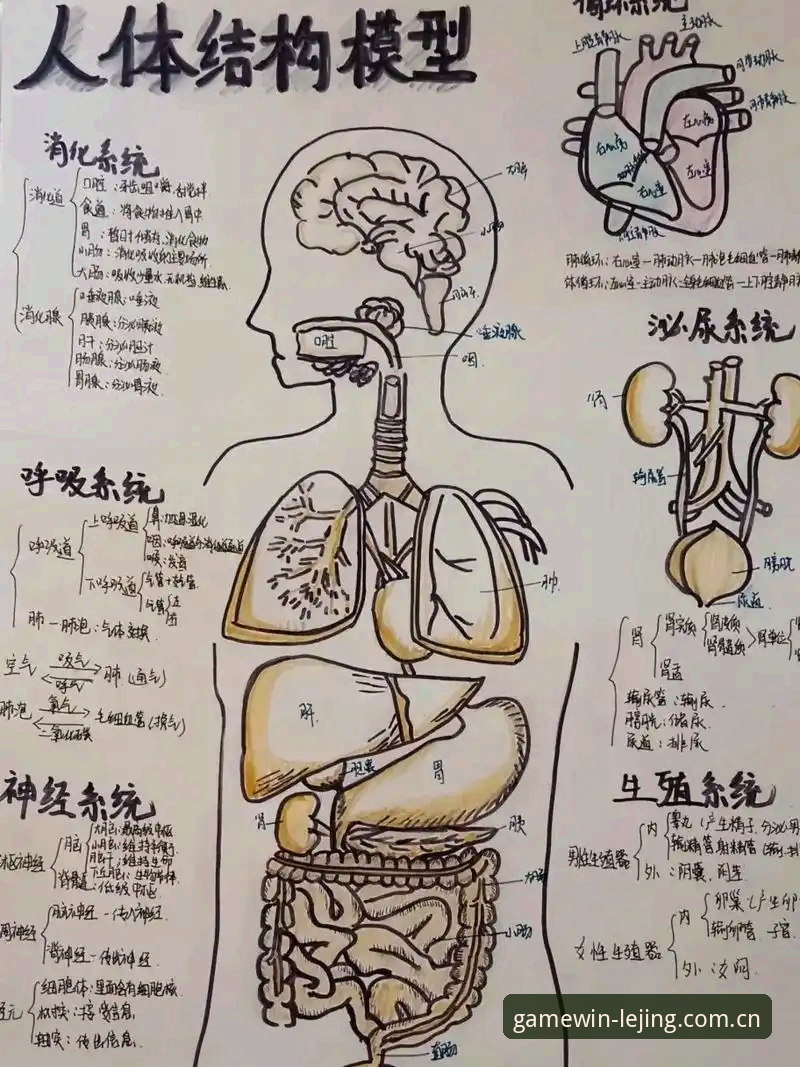 深度解剖：当生命警报在绿茵场响起——用乐竞体育官方中文版CN下载手机版回看埃里克森事件的三个决策点